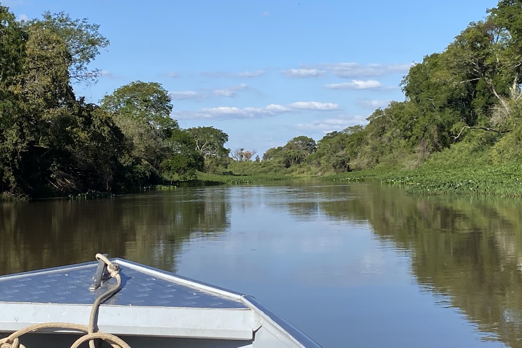 nature river boat ride