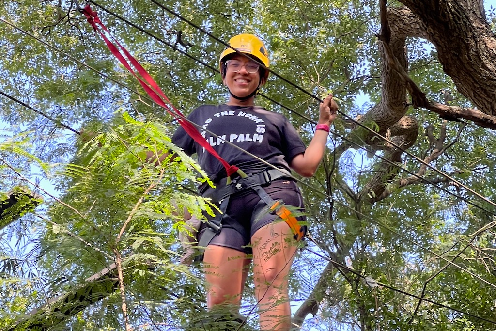 Canopy tour